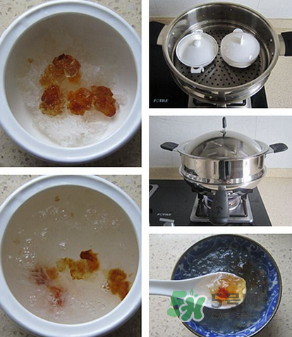 燕窩可以和桃膠一起燉嗎？燕窩燉桃膠的做法大全