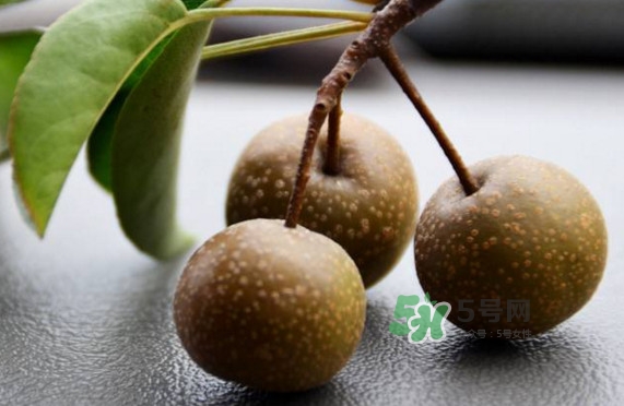 棠梨子怎么吃？棠梨子孕婦可以吃嗎