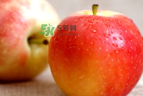 嘎啦蘋果多少錢？嘎啦果多少錢一斤