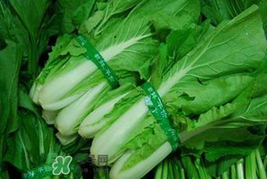 水白菜可以吃嗎？水白菜能吃嗎