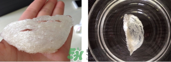 燕窩用什么鍋燉最好吃？燕窩用什么器具燉最好？