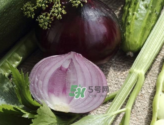 皮芽子發(fā)芽了可以吃嗎？新疆人為什么都愛吃皮芽子
