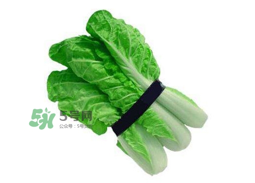 水白菜可以吃嗎？水白菜能吃嗎