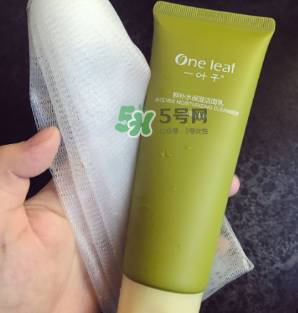 一葉子補(bǔ)水潔面乳怎么樣？一葉子補(bǔ)水洗面奶好用嗎？