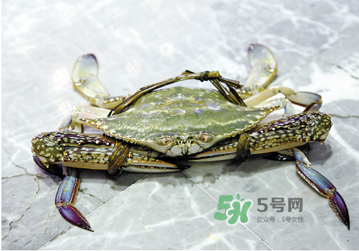 梭子蟹可以和酸奶一起吃嗎？吃完梭子蟹能喝酸奶嗎？