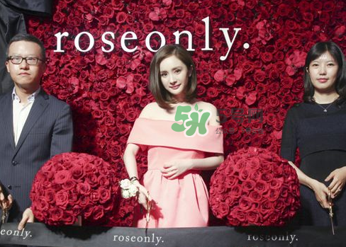 roseonly怎么樣？roseonly好看嗎？