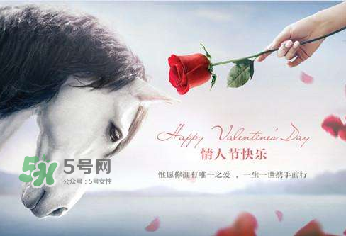 roseonly怎么樣？roseonly好看嗎？