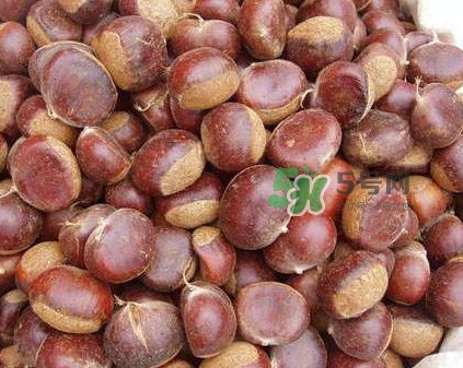 哪里產(chǎn)的板栗最好吃？板栗怎么挑選