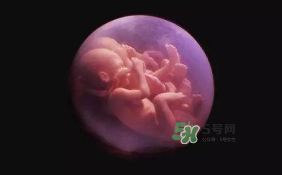 多胞胎是怎么生產的？多胞胎應選擇什么分娩方式