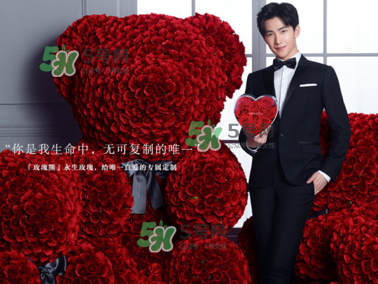 roseonly熊什么材質(zhì)？roseonly玫瑰熊是真花嗎？