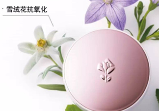 蘭蔻小粉盒氣墊多少錢？蘭蔻小粉盒氣墊專柜價格