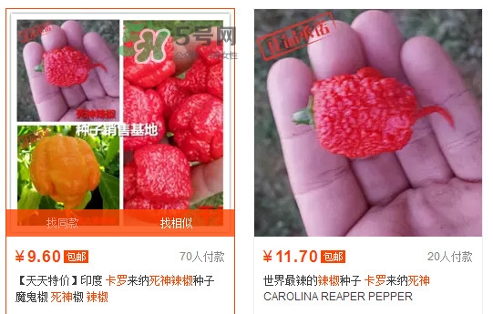 卡羅萊納死神辣椒中國有嗎？死神辣椒哪里有賣