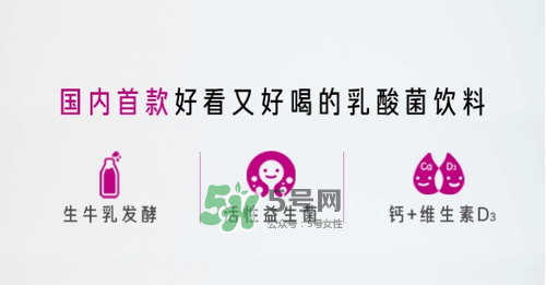 每日活菌乳酸菌多少錢(qián)一瓶？每日活菌乳酸菌好喝嗎？