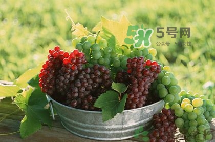 秋天成熟的水果有哪些？秋天吃水果有哪些禁忌
