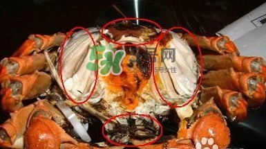 螃蟹怎么吃好吃？螃蟹和什么一起吃最好？
