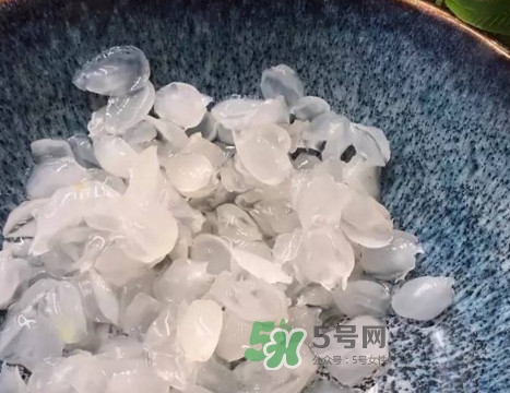 皂角米可以直接煮嗎？皂角米和什么一起煮好