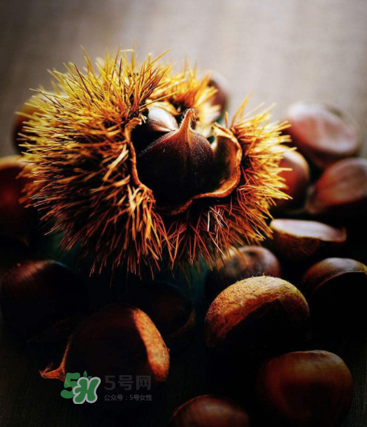 板栗能補(bǔ)腎嗎？板栗補(bǔ)腎陰還是腎陽(yáng)？