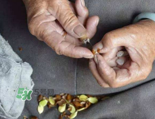 皂角米是怎么剝出來的？皂角米是酸性還是堿性