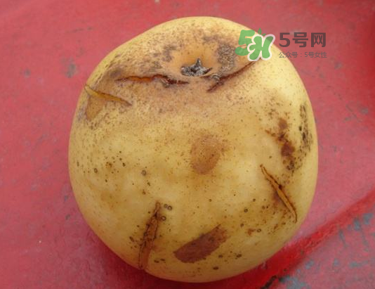皇冠梨雞爪病能吃嗎？皇冠梨雞爪病怎么辦？