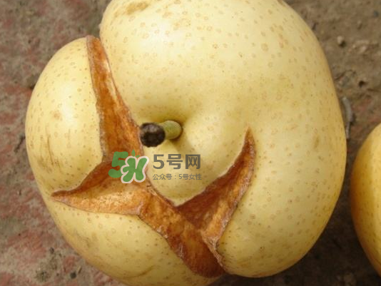 皇冠梨雞爪病能吃嗎？皇冠梨雞爪病怎么辦？