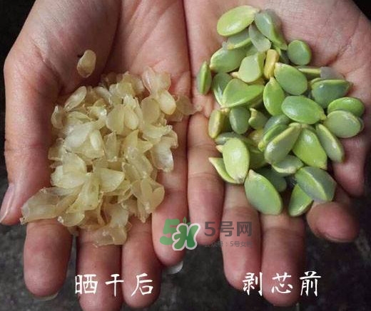 皂角米是什么味道？皂角米是什么顏色