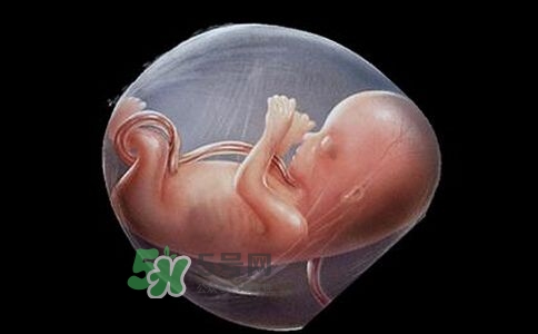 寶寶臍帶繞頸只能剖腹產嗎？胎兒臍帶繞頸孕婦有什么感覺