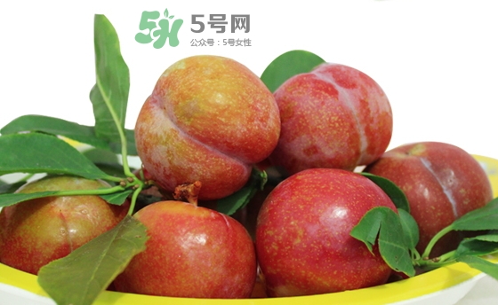 芙蓉李多少錢一斤？芙蓉李價格
