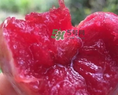 芙蓉李甜嗎？芙蓉李好吃嗎？