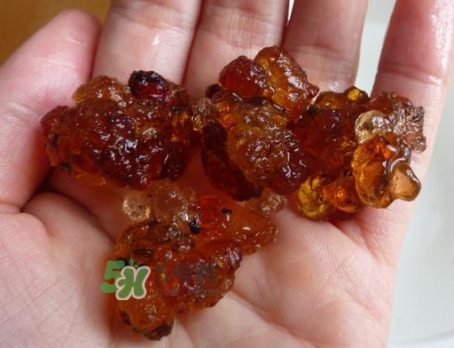 桃膠哪里有賣(mài)的？哪里產(chǎn)的桃膠最好