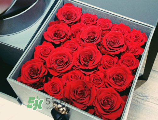roseonly怎么買(mǎi)？roseonly如何買(mǎi)第二次？