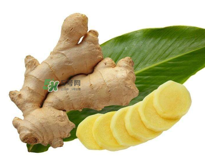 胃病患者可以長(zhǎng)期食用生姜嗎？胃不好能不能吃姜？