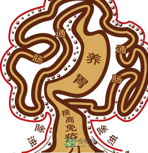 腸胃不好會(huì)引起頭暈嗎？頭暈與腸胃不好有關(guān)系嗎？