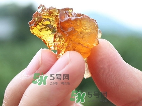 桃膠可以和什么一起煮？桃膠不能和什么一起吃