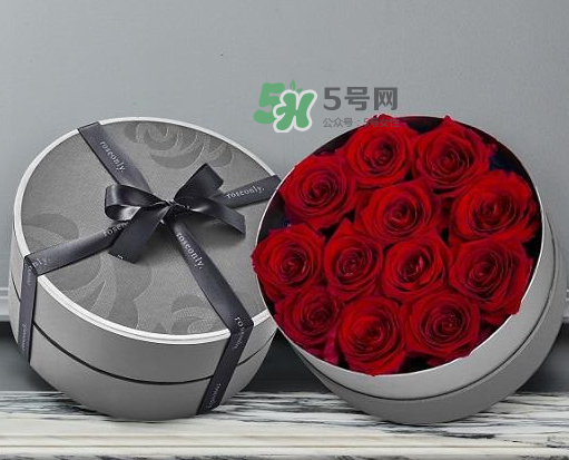 roseonly怎么讀？roseonly怎么讀在線讀？