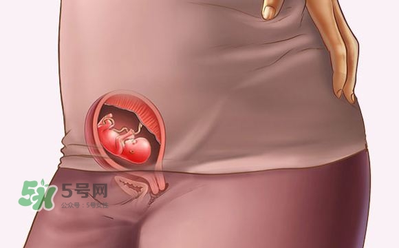 孕期尿頻什么時候開始？孕期尿頻特別嚴重