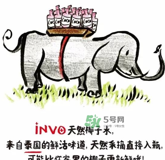 invo椰子水多少錢？invo椰子水好喝嗎？