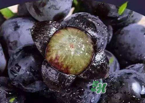 戶太八號多少錢一斤？戶太八號為什么在全國很有名？