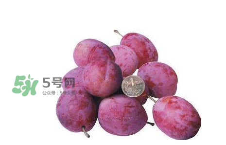 西梅什么時候上市？新疆西梅什么時候上市