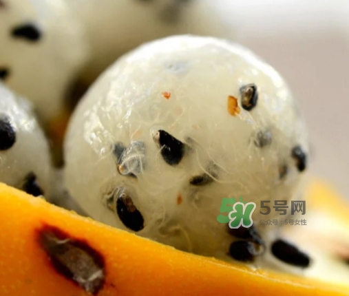 黃龍果的熱量 黃龍果可以減肥嗎？