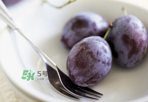 西梅怎么挑選？新鮮西梅怎么保存