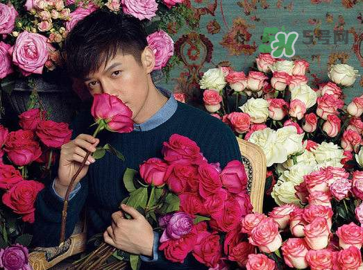 野獸派和roseonly哪個(gè)好？野獸派和roseonly區(qū)別