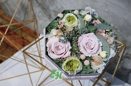 野獸派永生花會(huì)死嗎？野獸派永生花是什么？