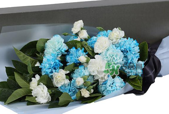 joyflower是哪國(guó)品牌？joyflower怎么樣？