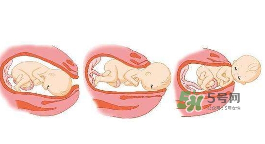 胎兒什么時(shí)候入盆？胎兒入盆后胎動(dòng)會(huì)減少嗎？
