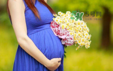 孕婦可以拔牙嗎？孕婦可以拔智齒嗎？