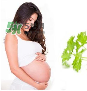 孕婦可以拔牙嗎？孕婦可以拔智齒嗎？