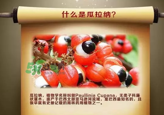 黑卡飲料多少錢一瓶？黑卡6小時價格表