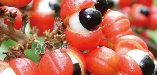 黑卡飲料多少錢一瓶？黑卡6小時價格表