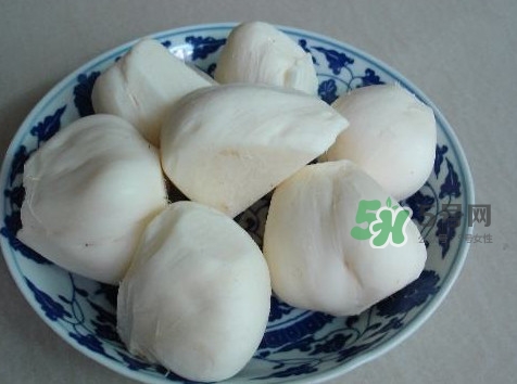 涼薯是什么東西？涼薯是地瓜嗎？