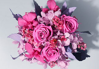 joyflower是哪國(guó)品牌？joyflower怎么樣？